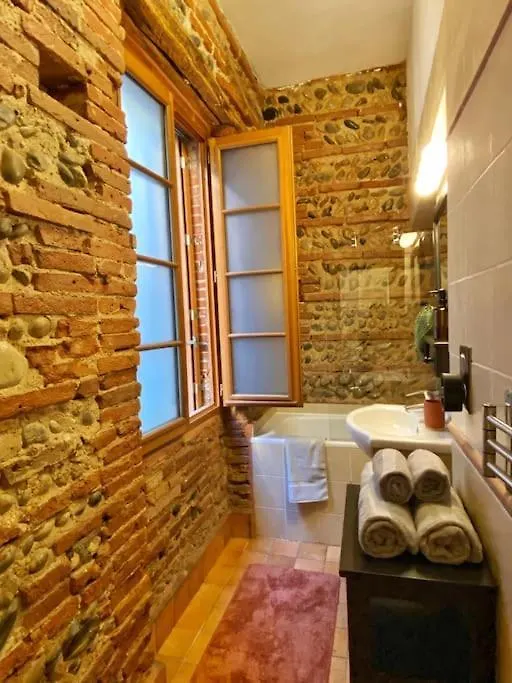Apartman Cocon Cosy Dans La Ville Rose Toulouse